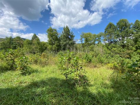 00000 Screech Owl Drive Candler NC 28715