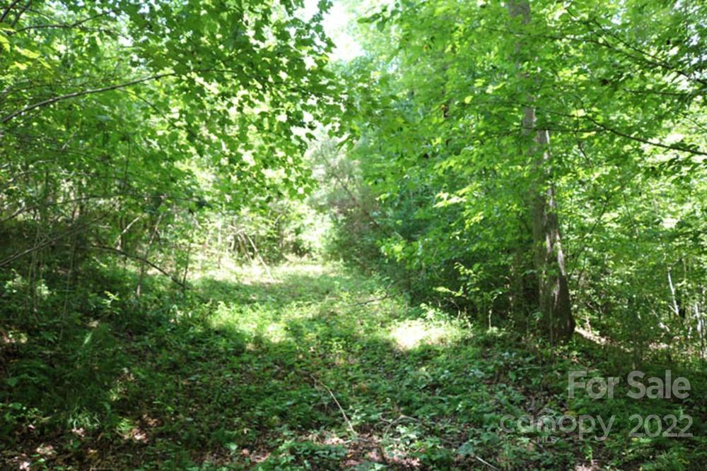 0 Woodstock Lane Rutherfordton NC 28139