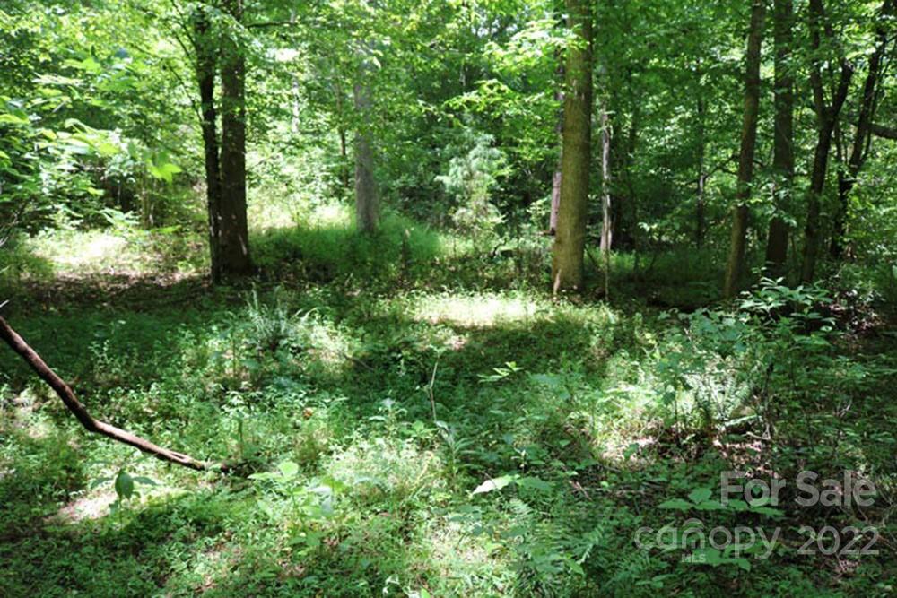 0 Woodstock Lane Rutherfordton NC 28139