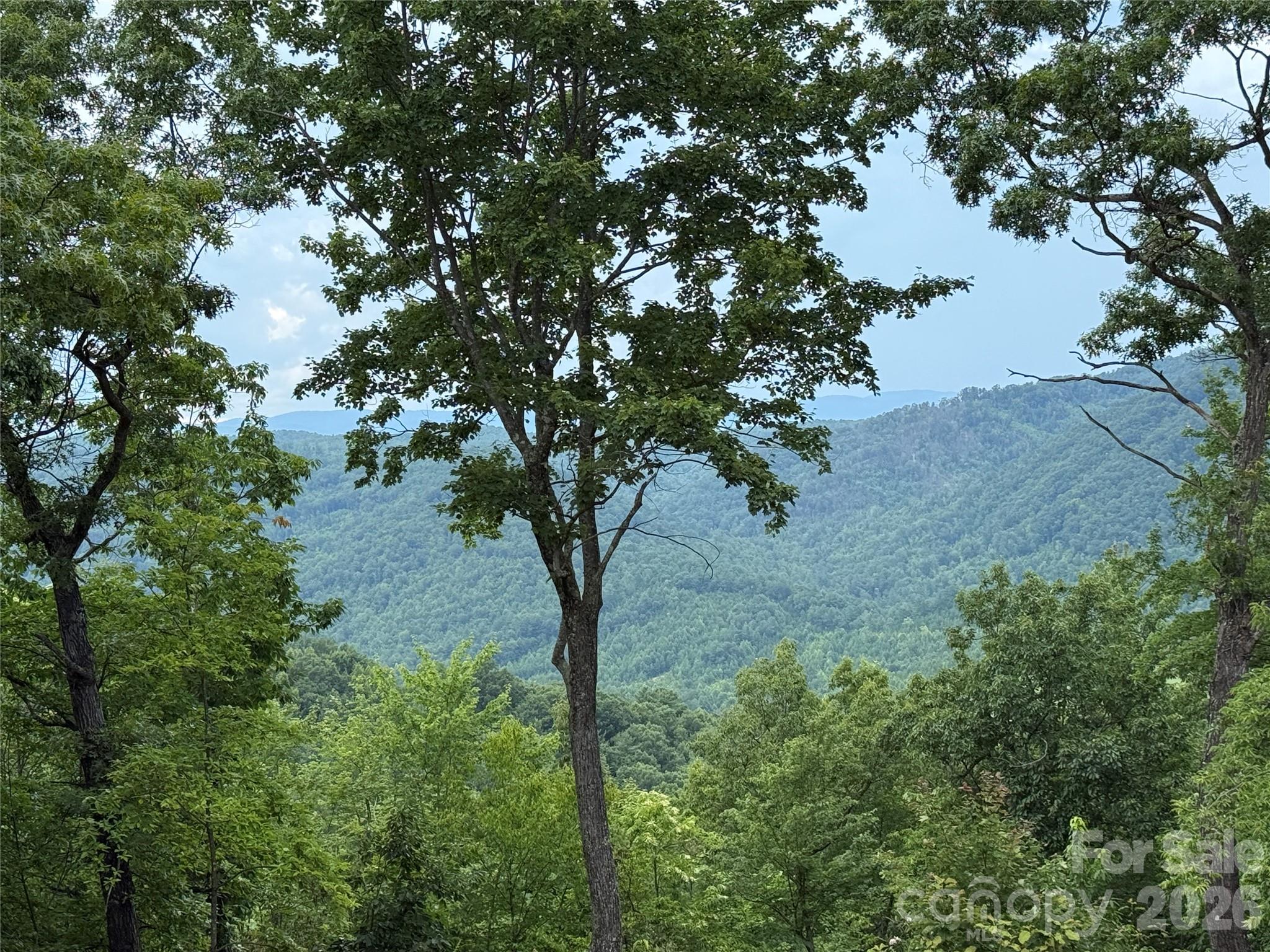 337 Lucas Path Drive Purlear NC 28665