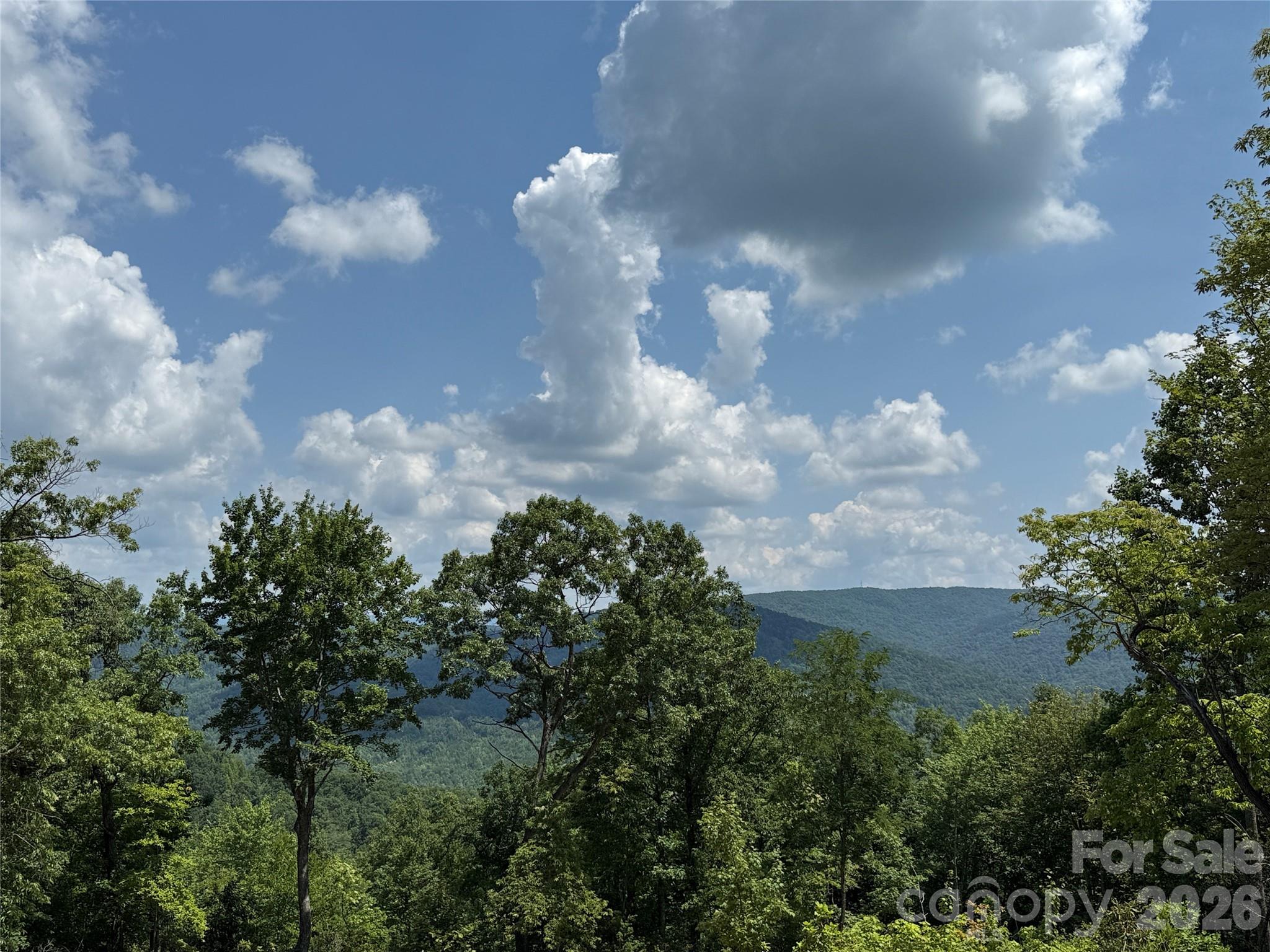 337 Lucas Path Drive Purlear NC 28665