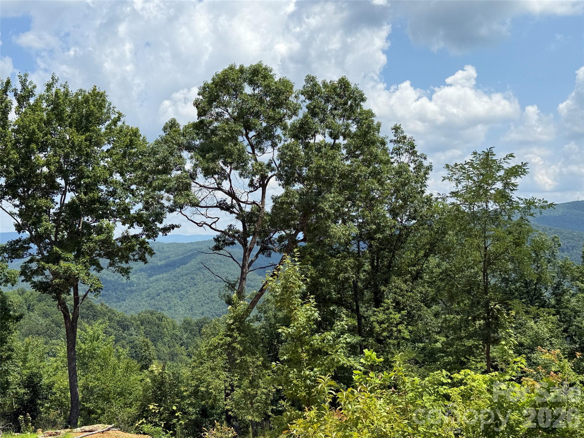 337 Lucas Path Drive Purlear NC 28665
