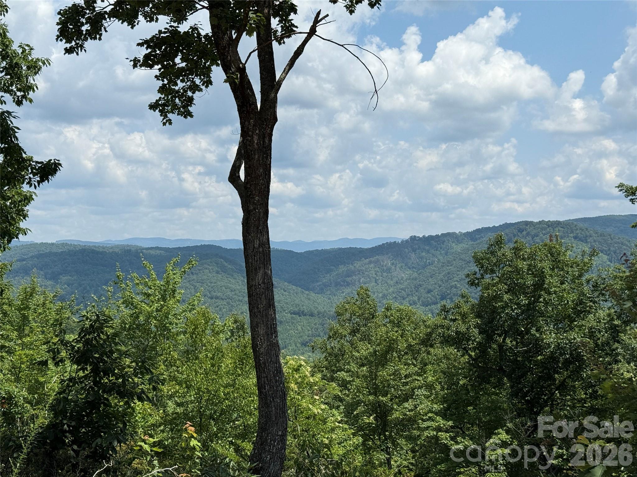 337 Lucas Path Drive Purlear NC 28665