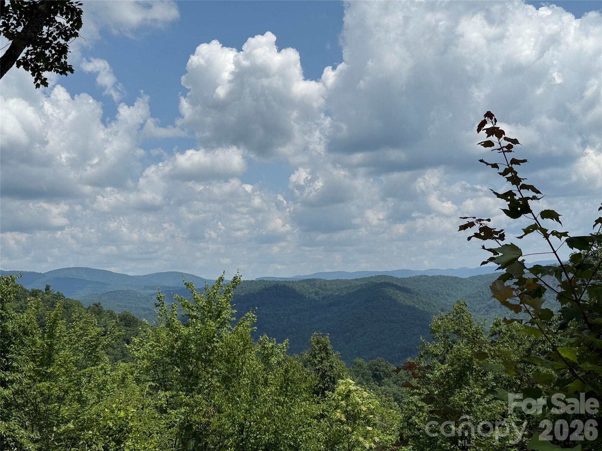 337 Lucas Path Drive Purlear NC 28665
