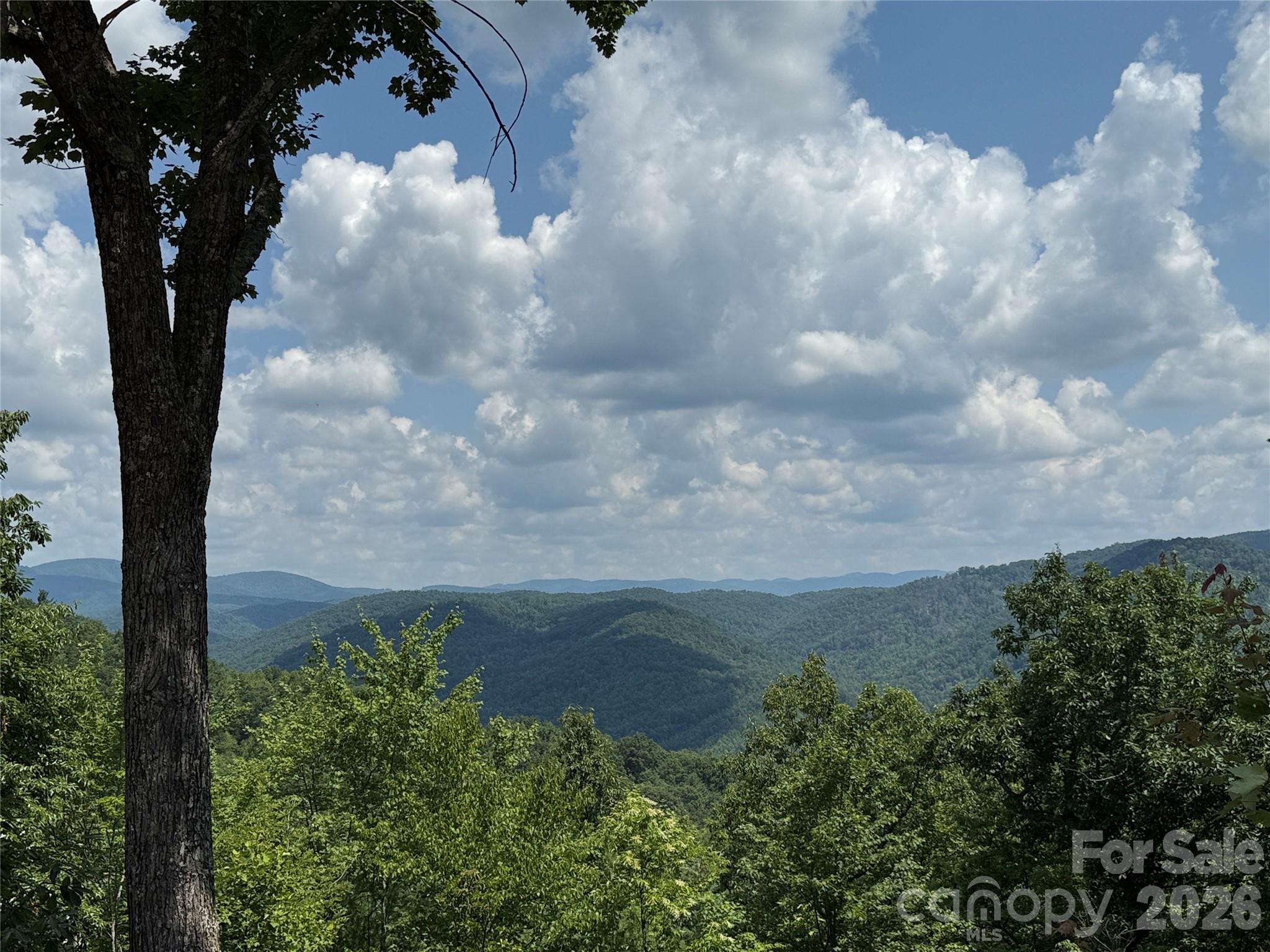 337 Lucas Path Drive Purlear NC 28665
