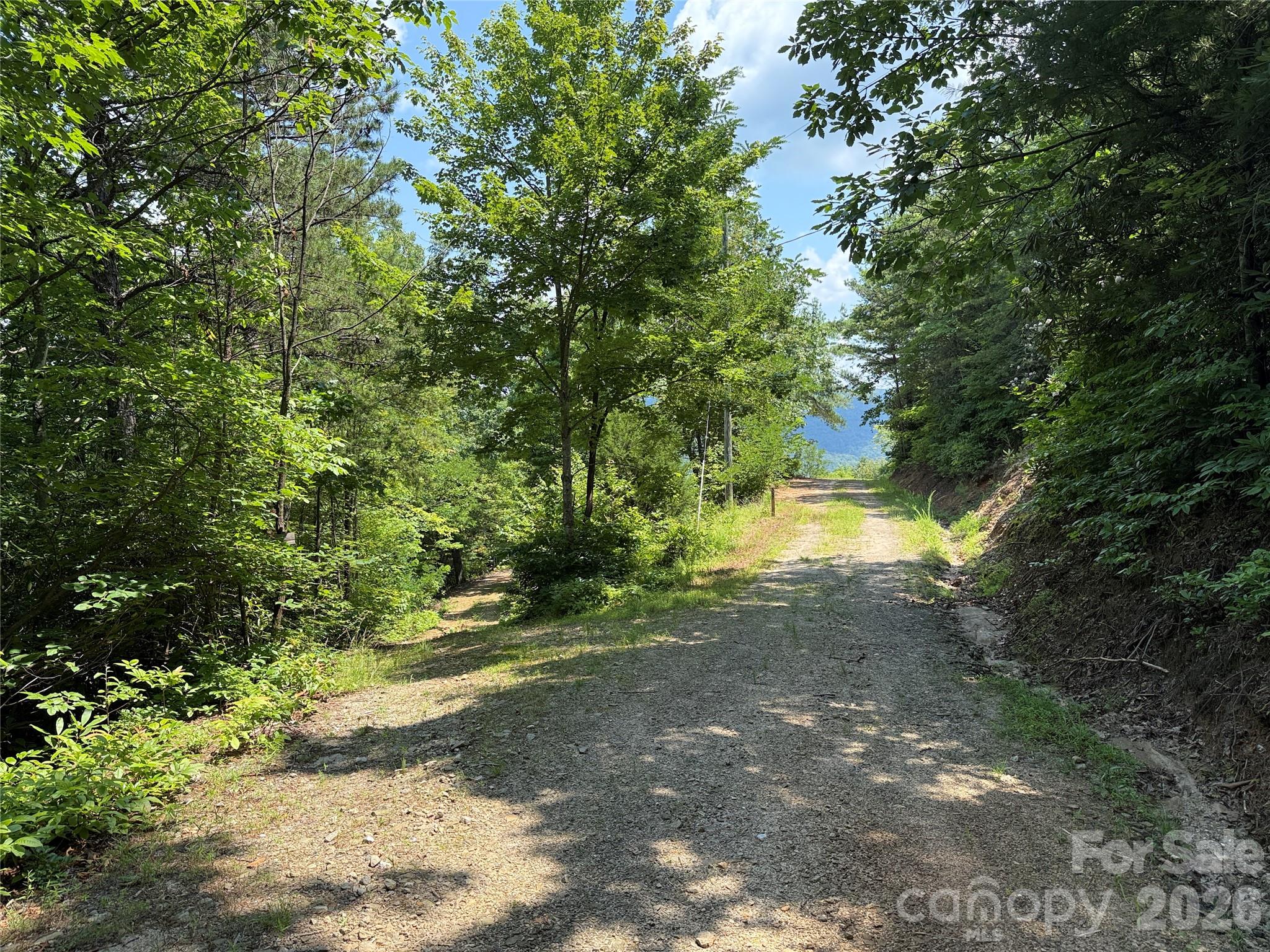 337 Lucas Path Drive Purlear NC 28665