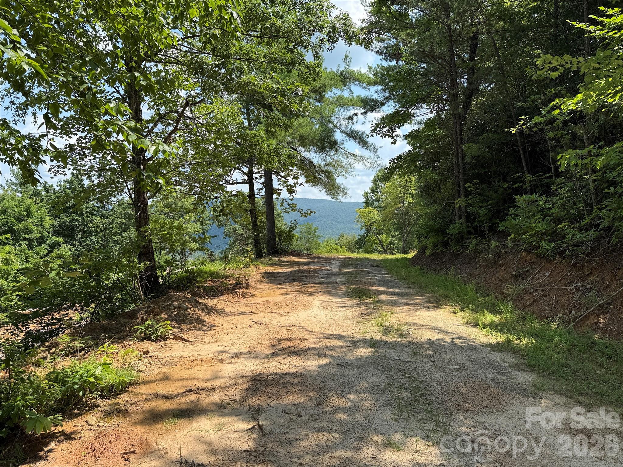 337 Lucas Path Drive Purlear NC 28665