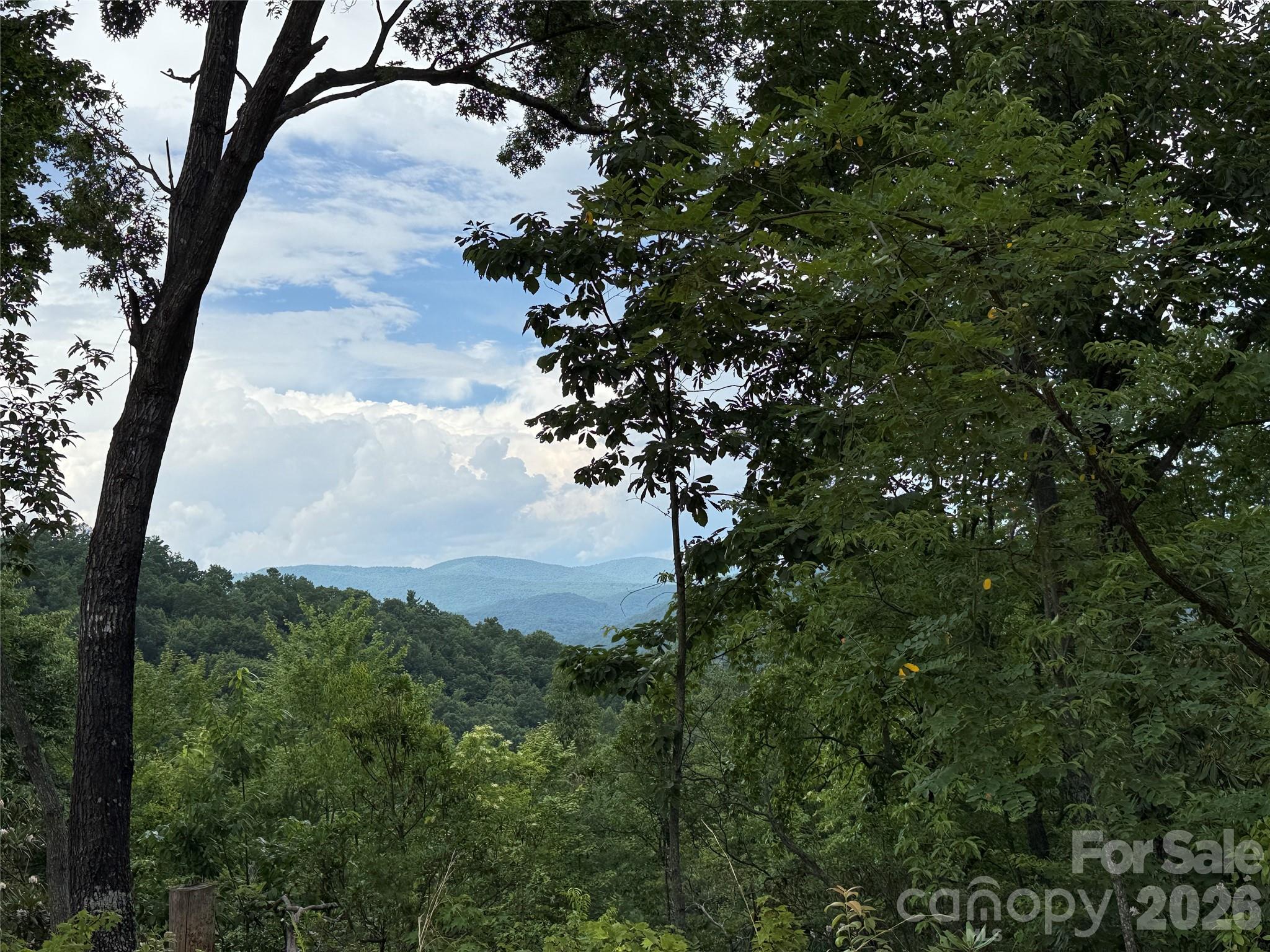 337 Lucas Path Drive Purlear NC 28665