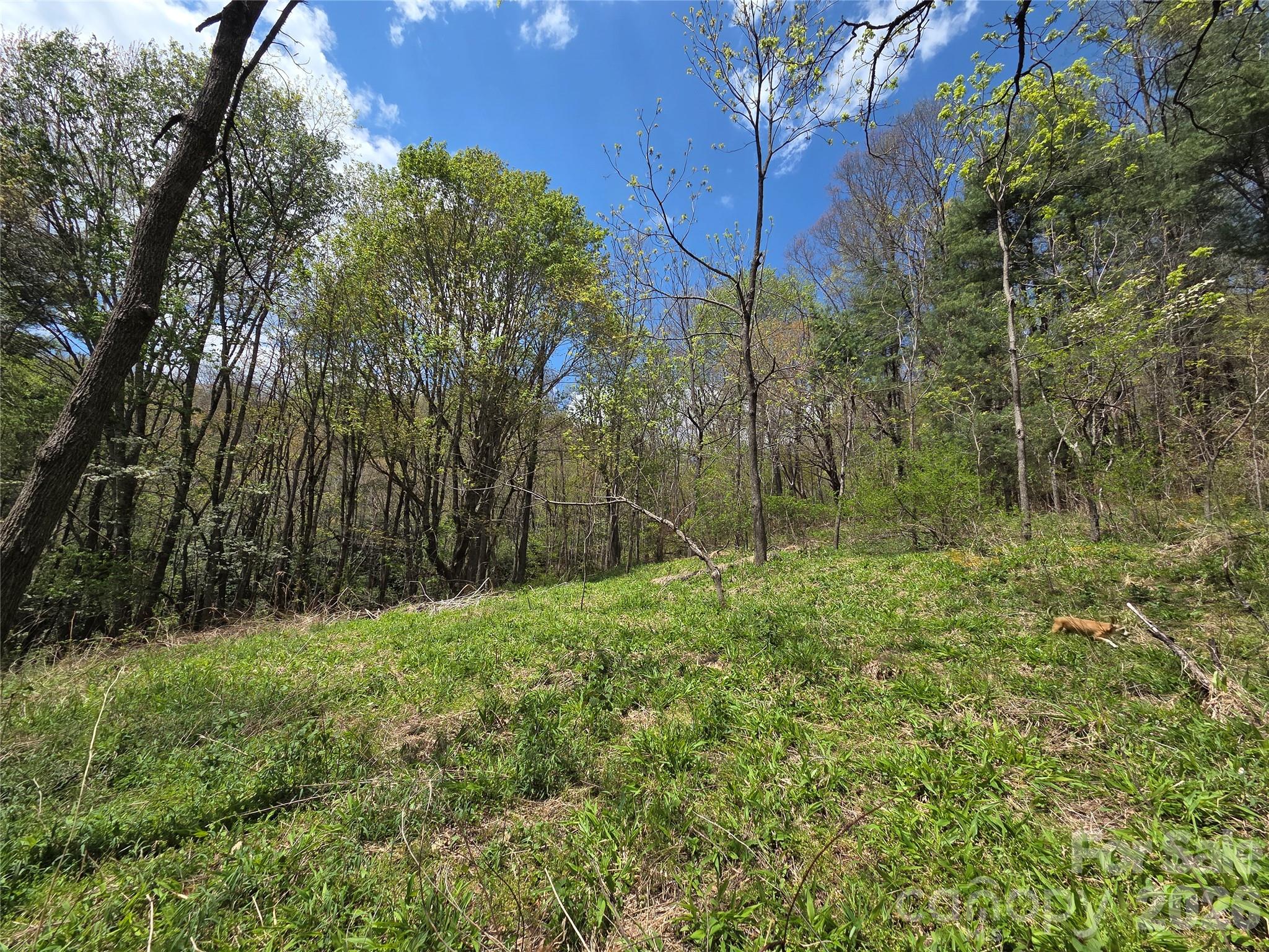 0 Robinson Creek Road Glenville NC 28736