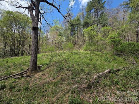 0 Robinson Creek Road Glenville NC 28736