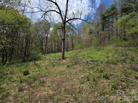 0 Robinson Creek Road Glenville NC 28736