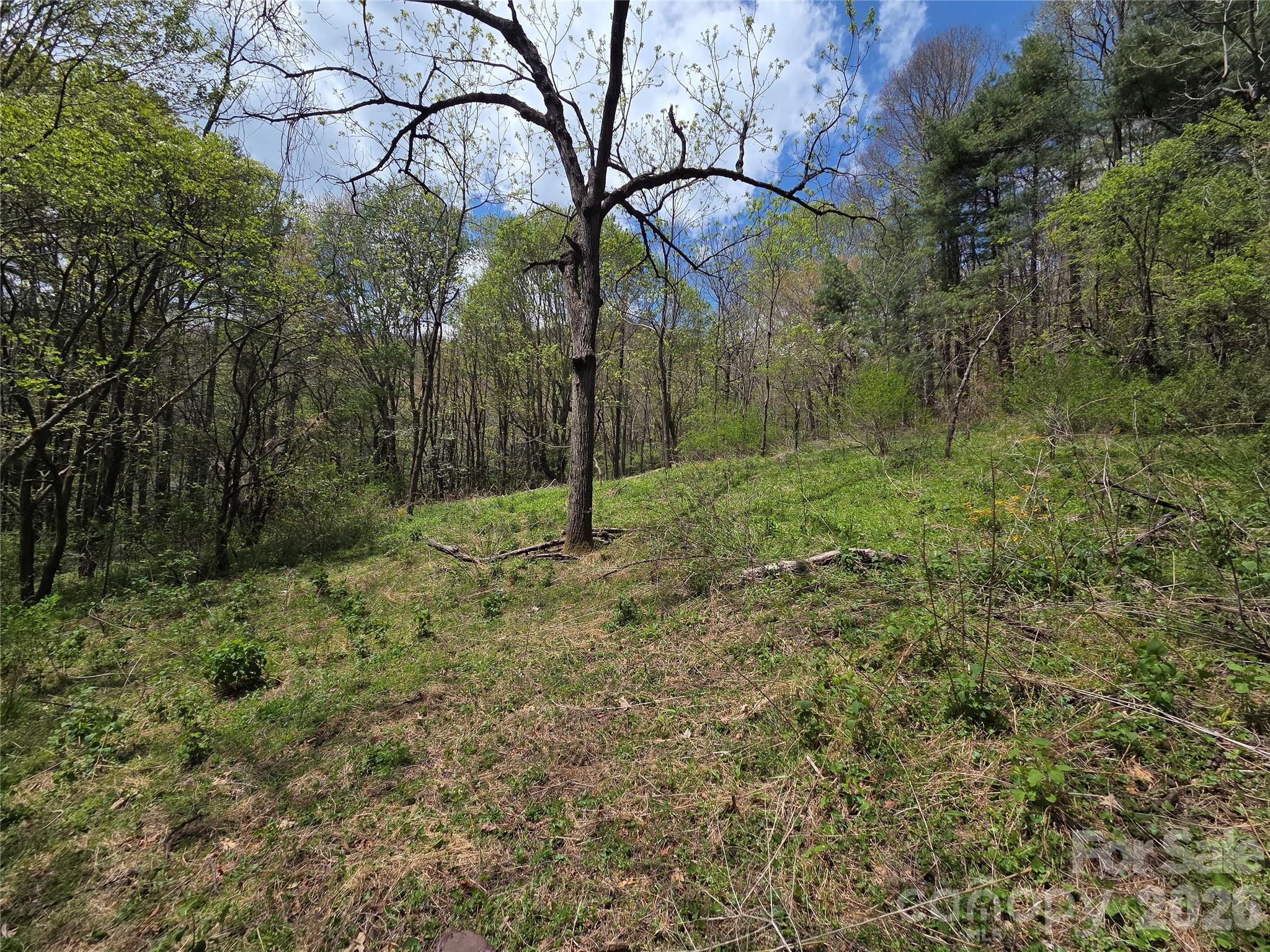 0 Robinson Creek Road Glenville NC 28736