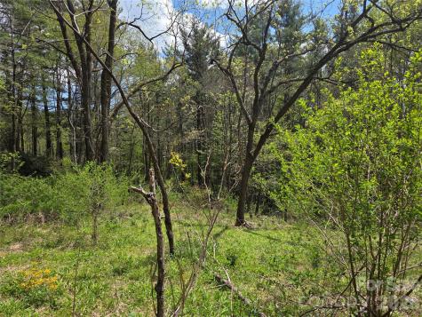 0 Robinson Creek Road Glenville NC 28736