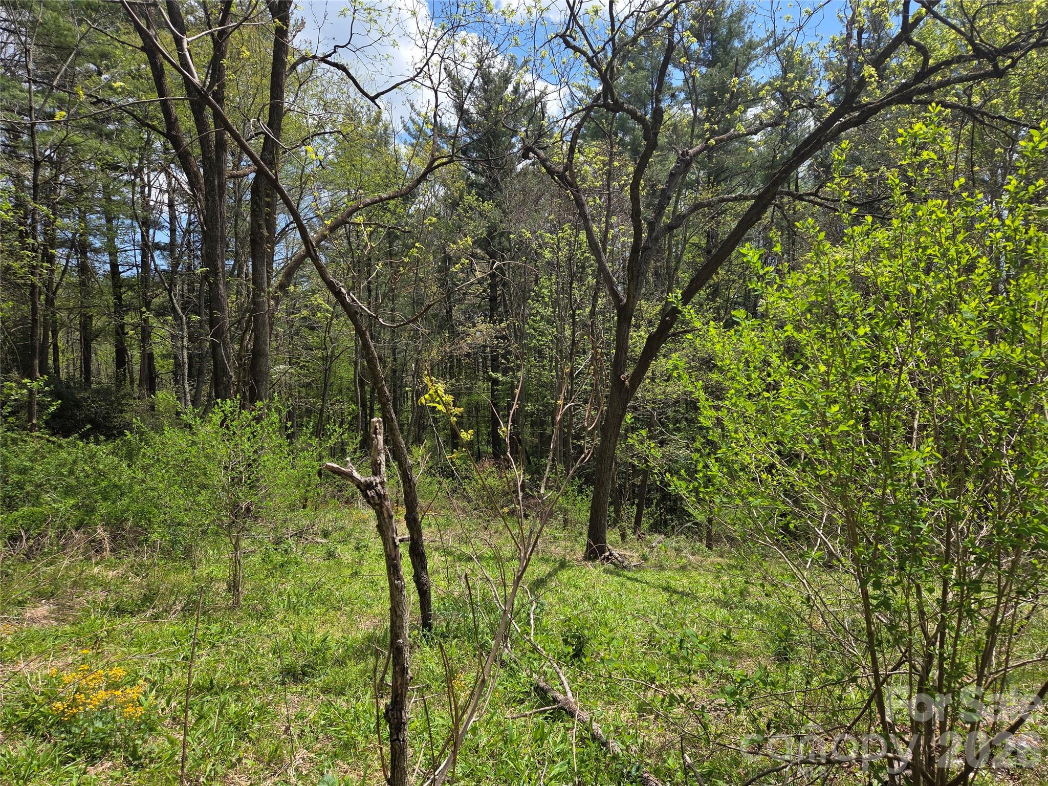 0 Robinson Creek Road Glenville NC 28736