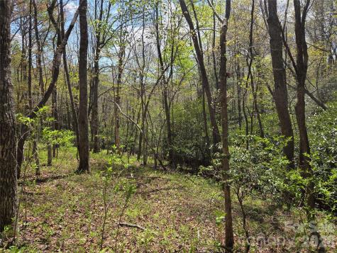 0 Robinson Creek Road Glenville NC 28736