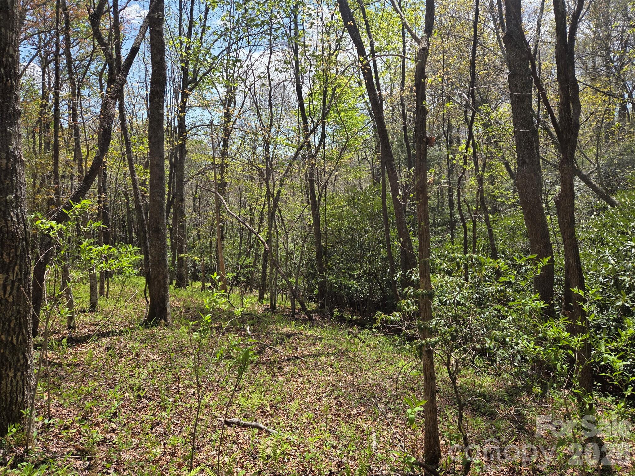 0 Robinson Creek Road Glenville NC 28736