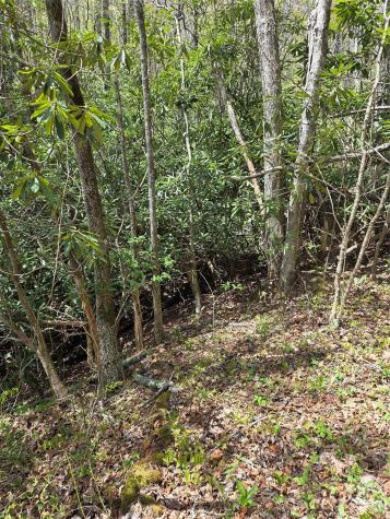 0 Robinson Creek Road Glenville NC 28736