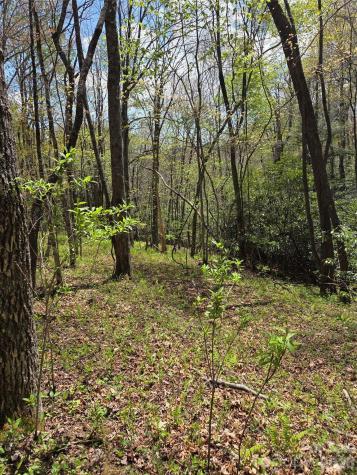 0 Robinson Creek Road Glenville NC 28736