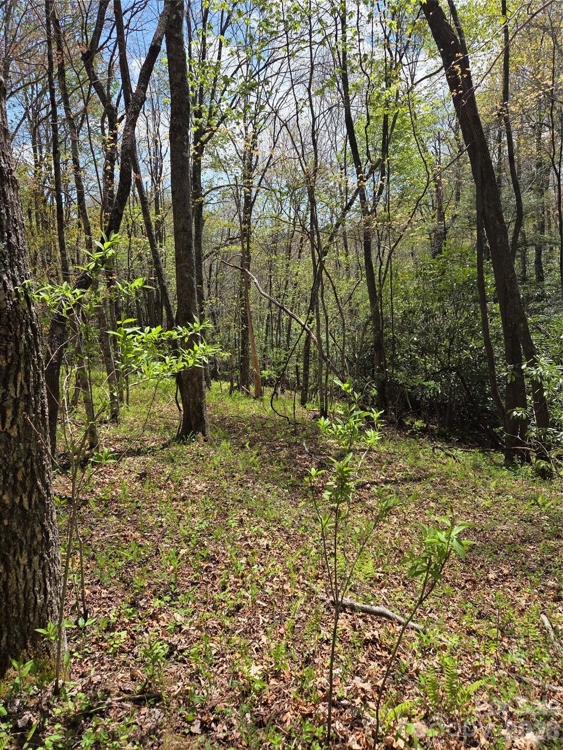 0 Robinson Creek Road Glenville NC 28736