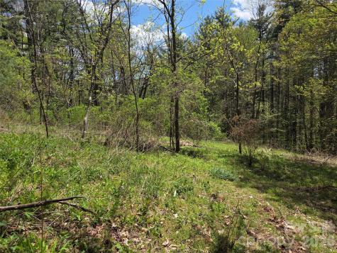 0 Robinson Creek Road Glenville NC 28736