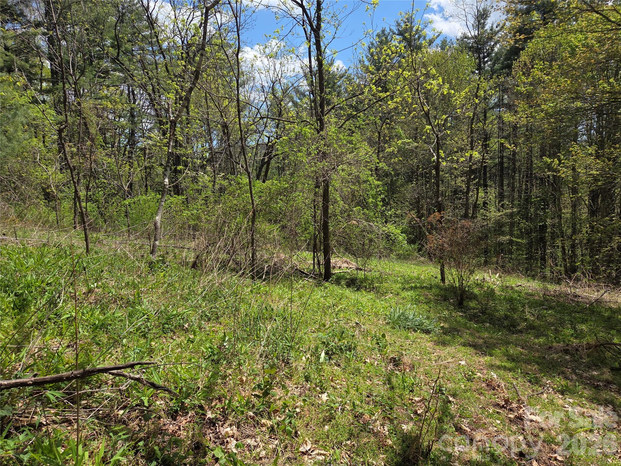 0 Robinson Creek Road Glenville NC 28736