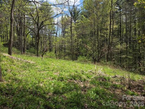 0 Robinson Creek Road Glenville NC 28736