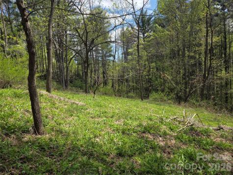 0 Robinson Creek Road Glenville NC 28736