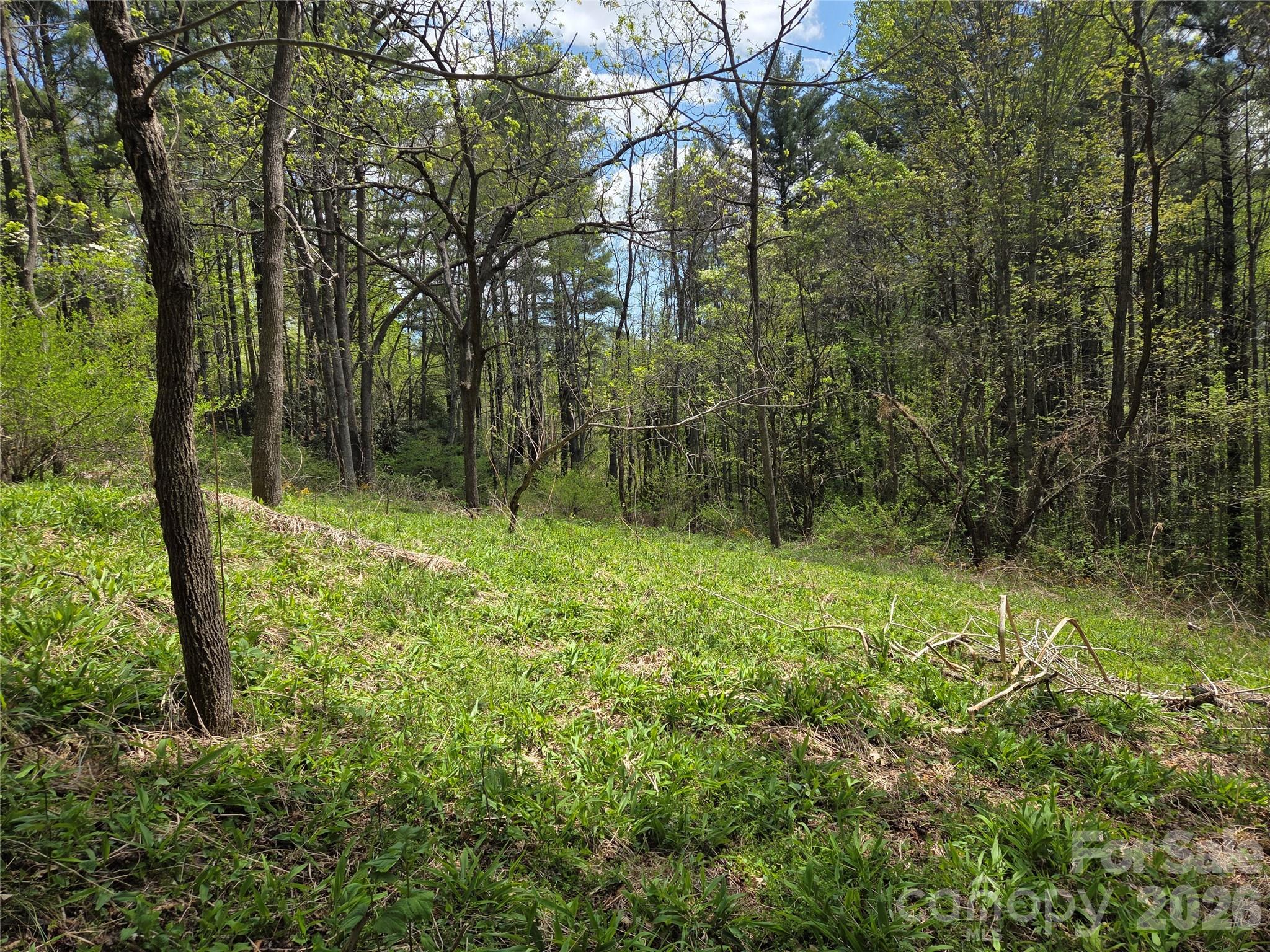 0 Robinson Creek Road Glenville NC 28736