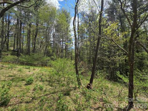 0 Robinson Creek Road Glenville NC 28736