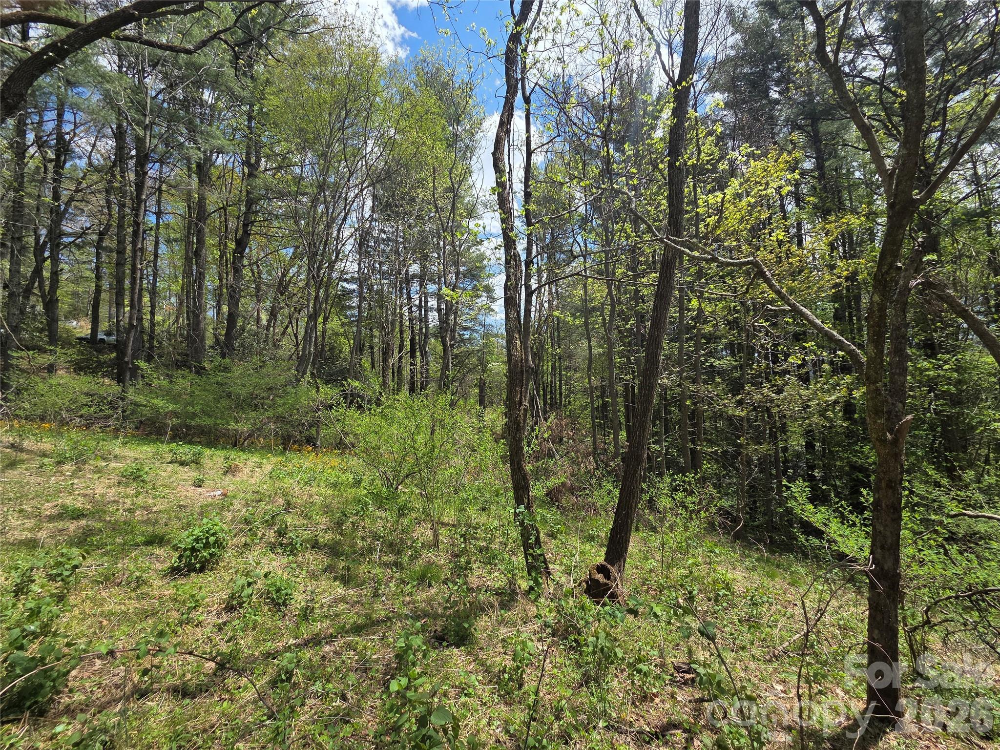 0 Robinson Creek Road Glenville NC 28736
