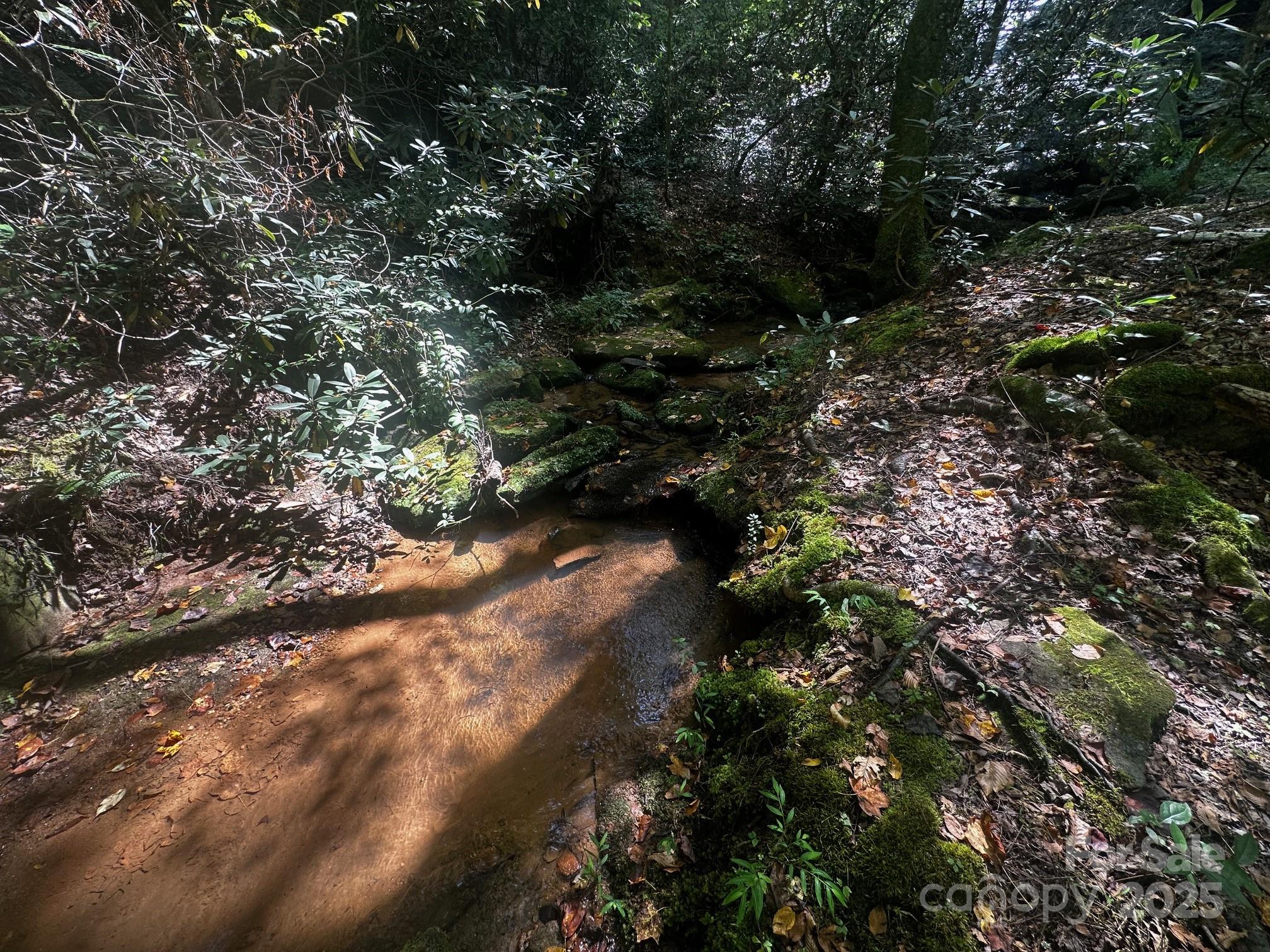 0000 Moss Hill Lane Lake Lure NC 28746