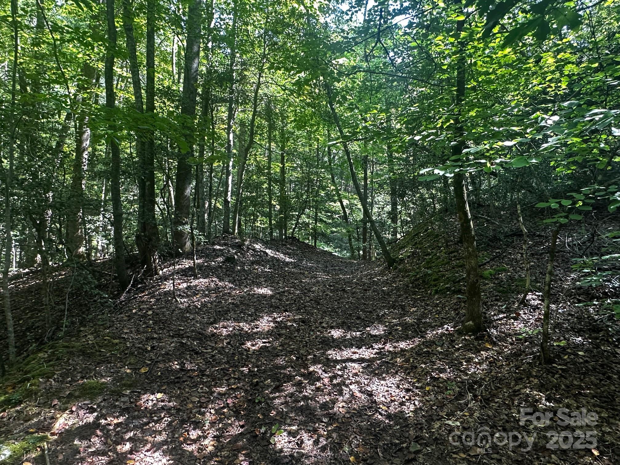 0000 Moss Hill Lane Lake Lure NC 28746