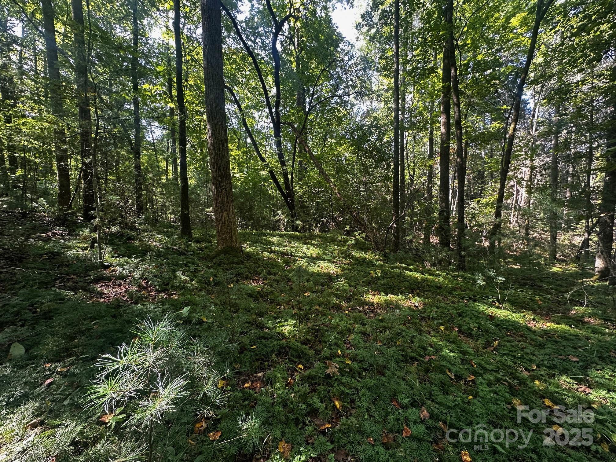 0000 Moss Hill Lane Lake Lure NC 28746