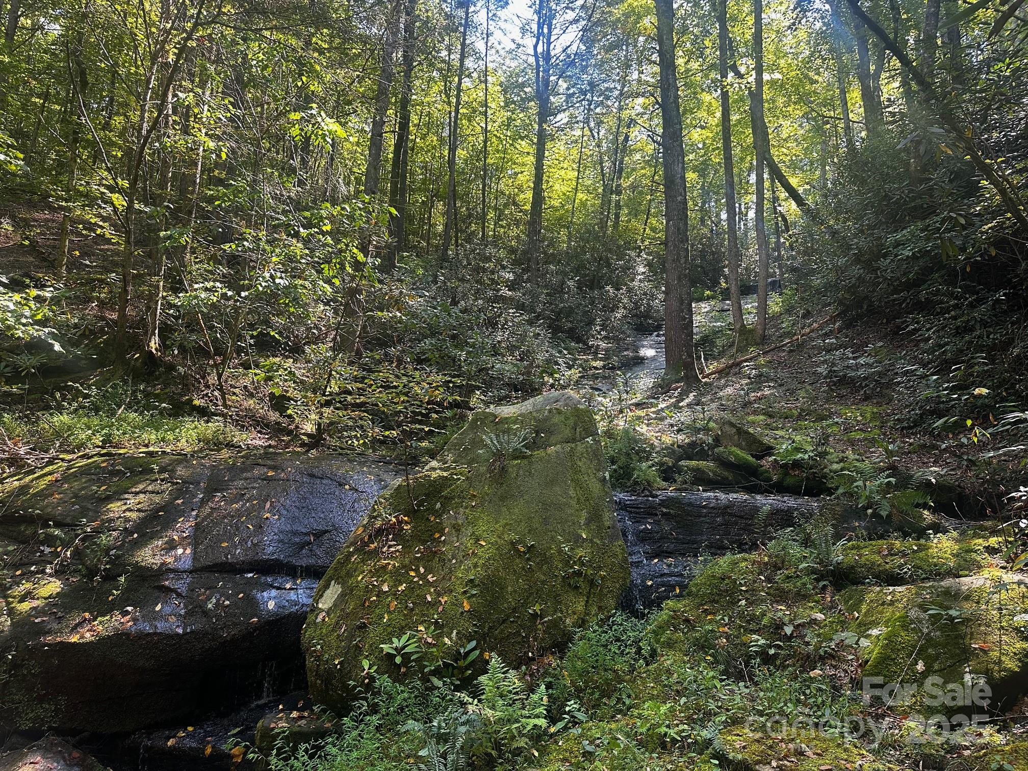0000 Moss Hill Lane Lake Lure NC 28746