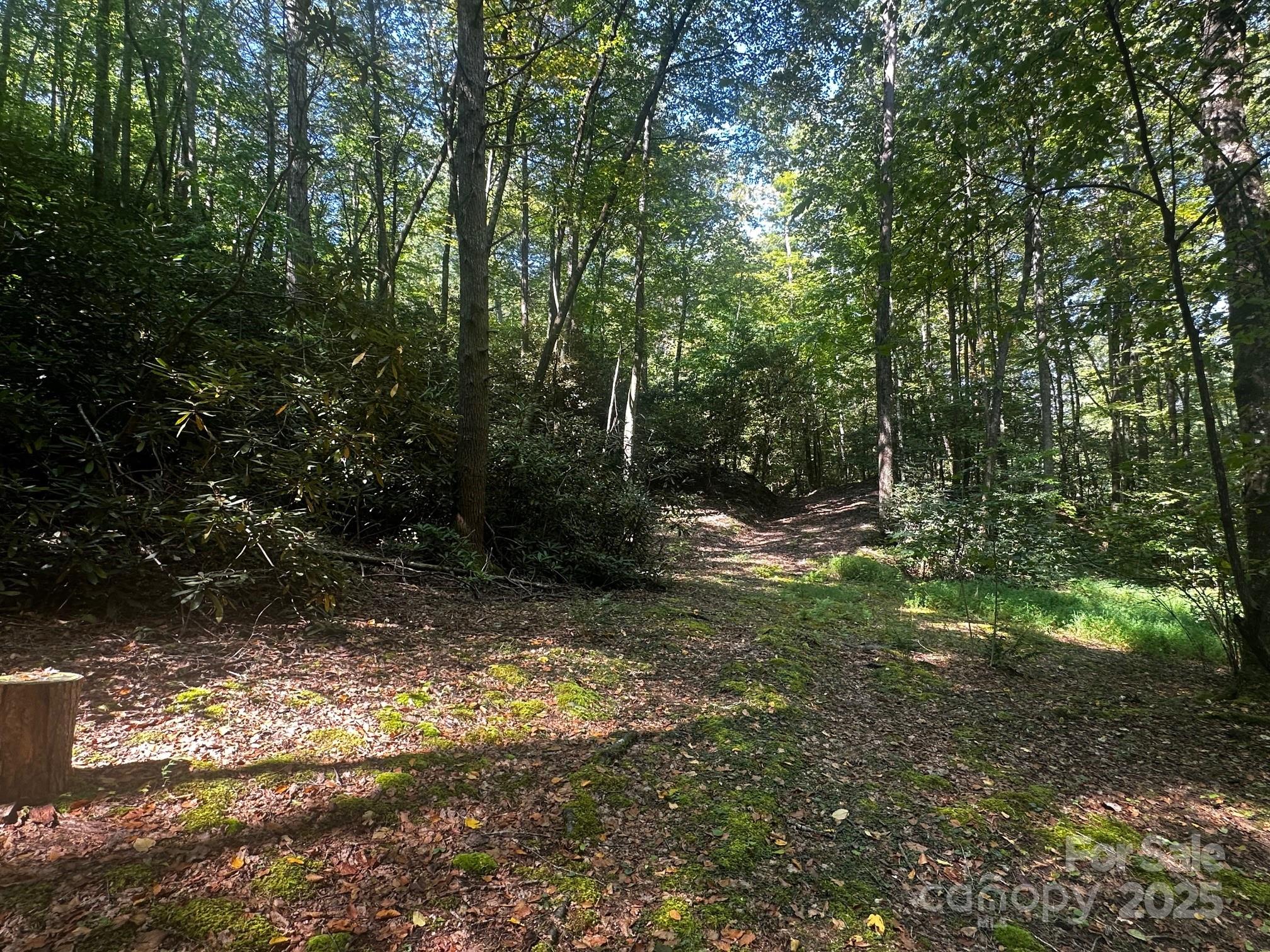 0000 Moss Hill Lane Lake Lure NC 28746
