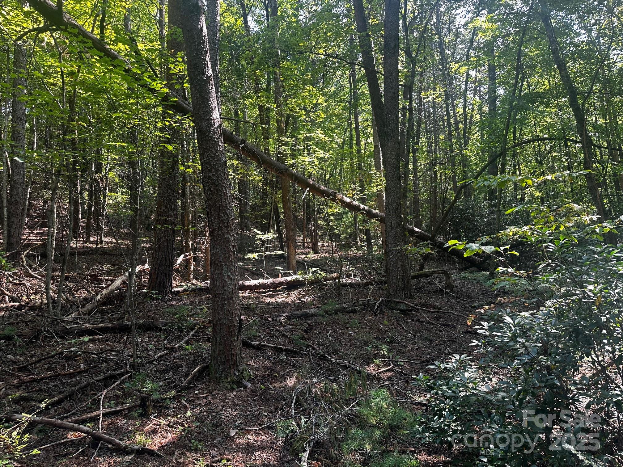 0000 Moss Hill Lane Lake Lure NC 28746