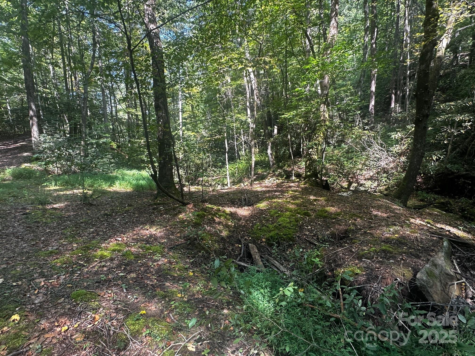 0000 Moss Hill Lane Lake Lure NC 28746
