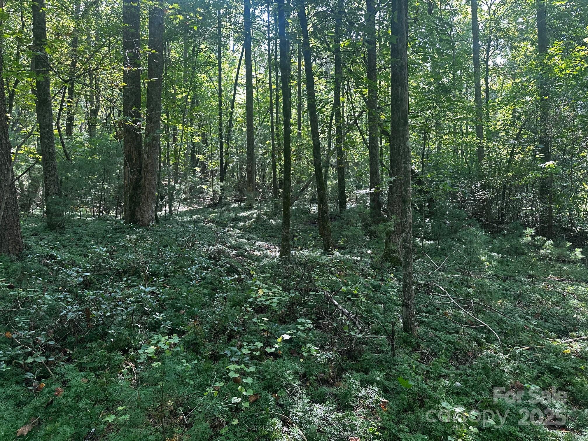 0000 Moss Hill Lane Lake Lure NC 28746