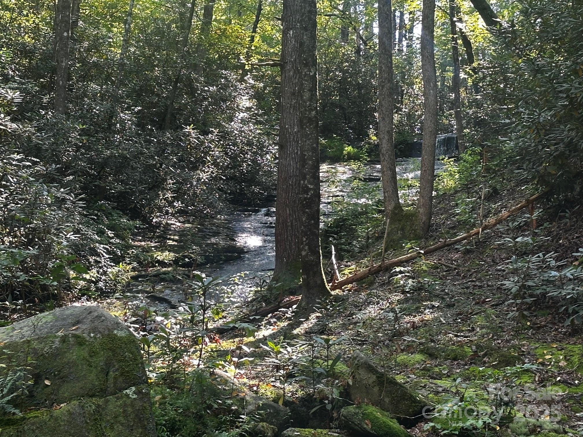 0000 Moss Hill Lane Lake Lure NC 28746