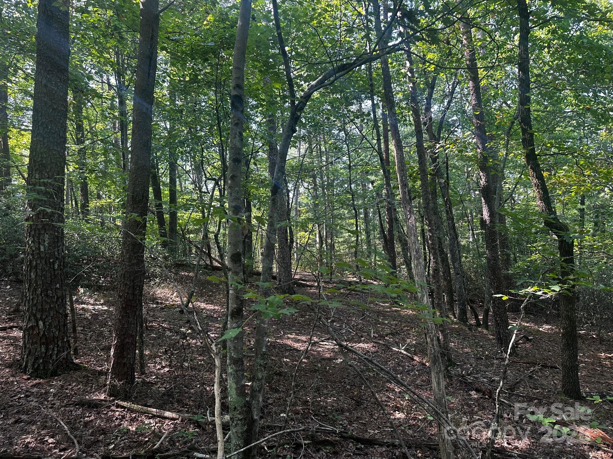 0000 Moss Hill Lane Lake Lure NC 28746