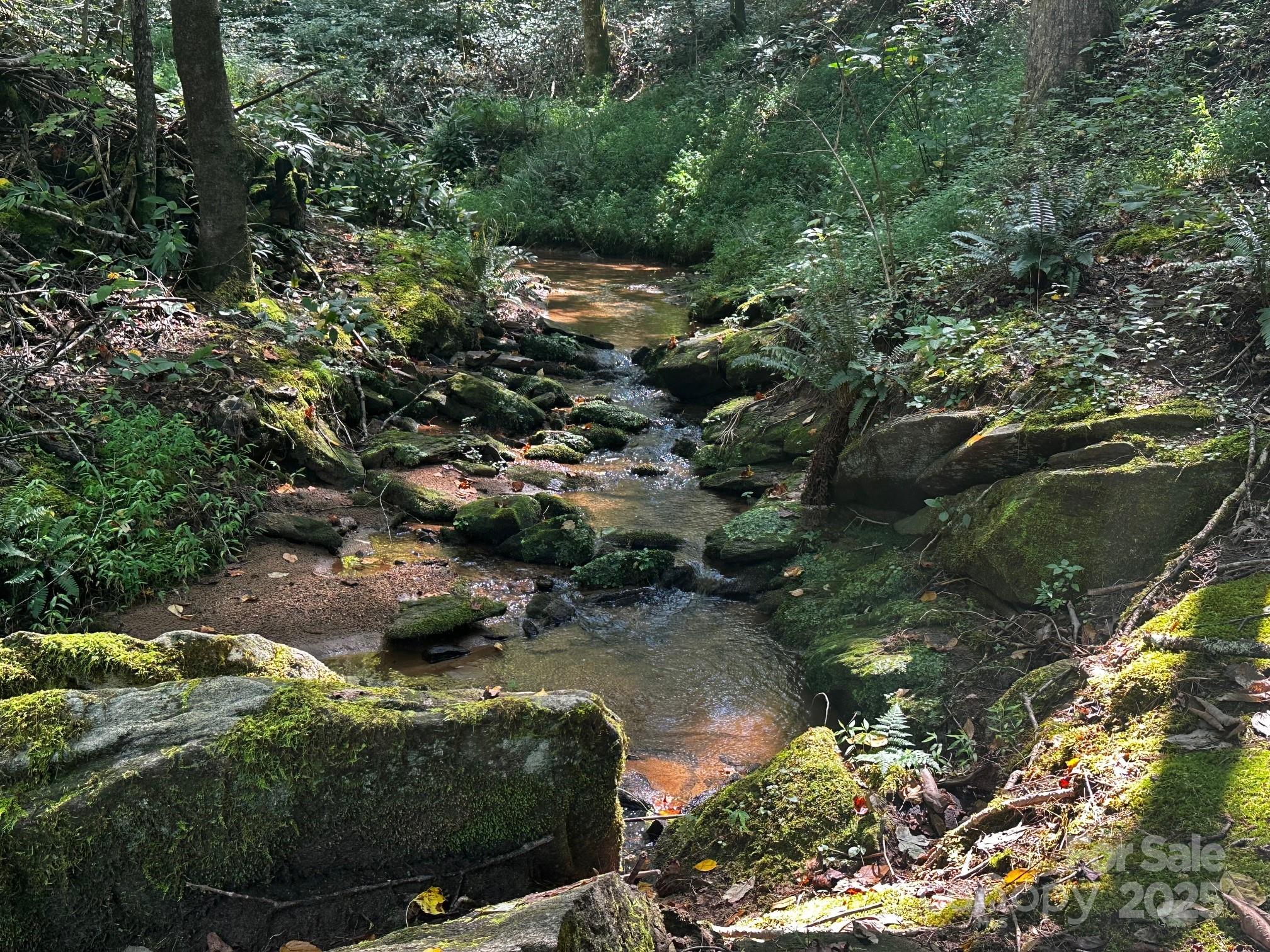 0000 Moss Hill Lane Lake Lure NC 28746