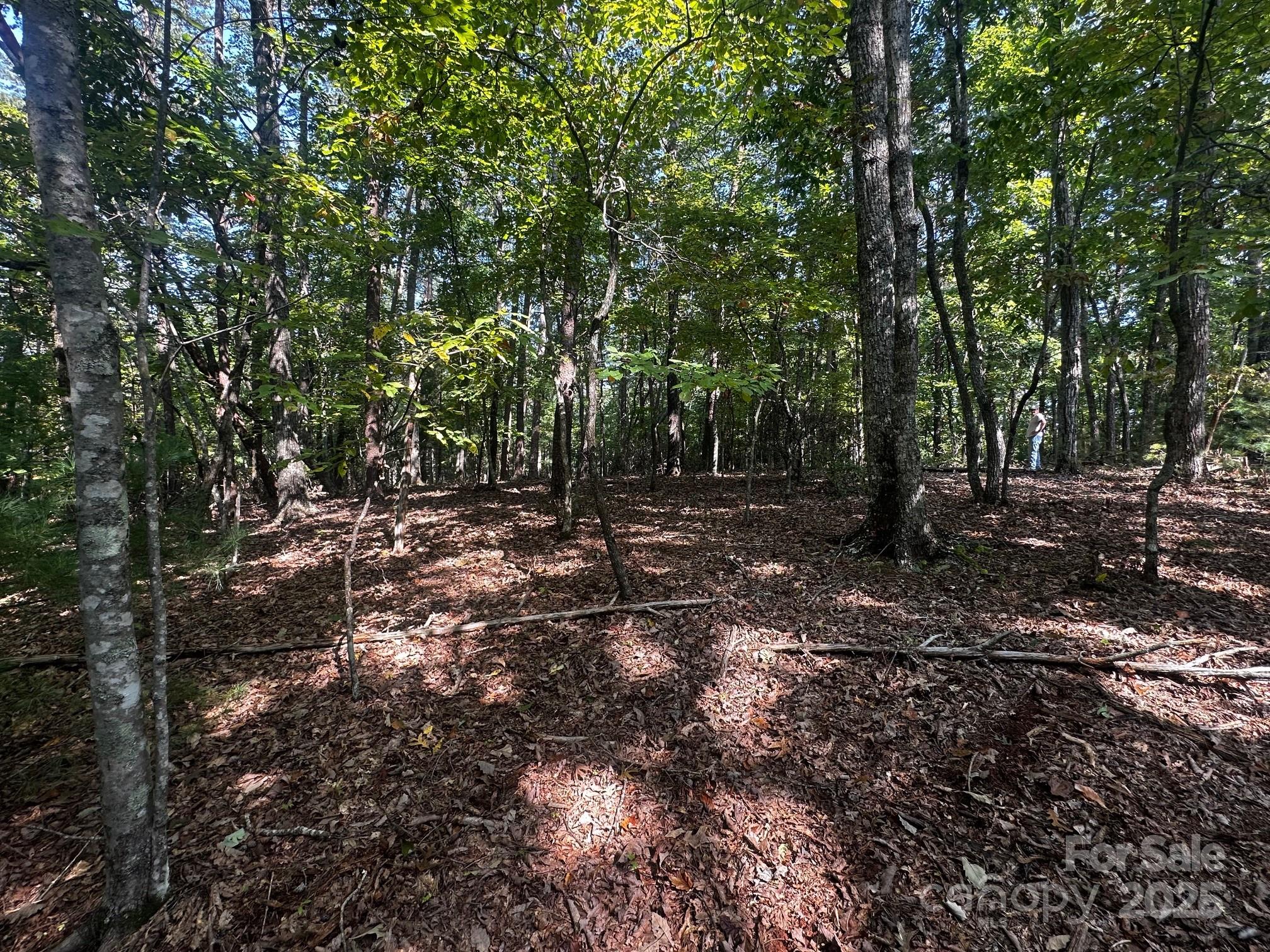 0000 Moss Hill Lane Lake Lure NC 28746