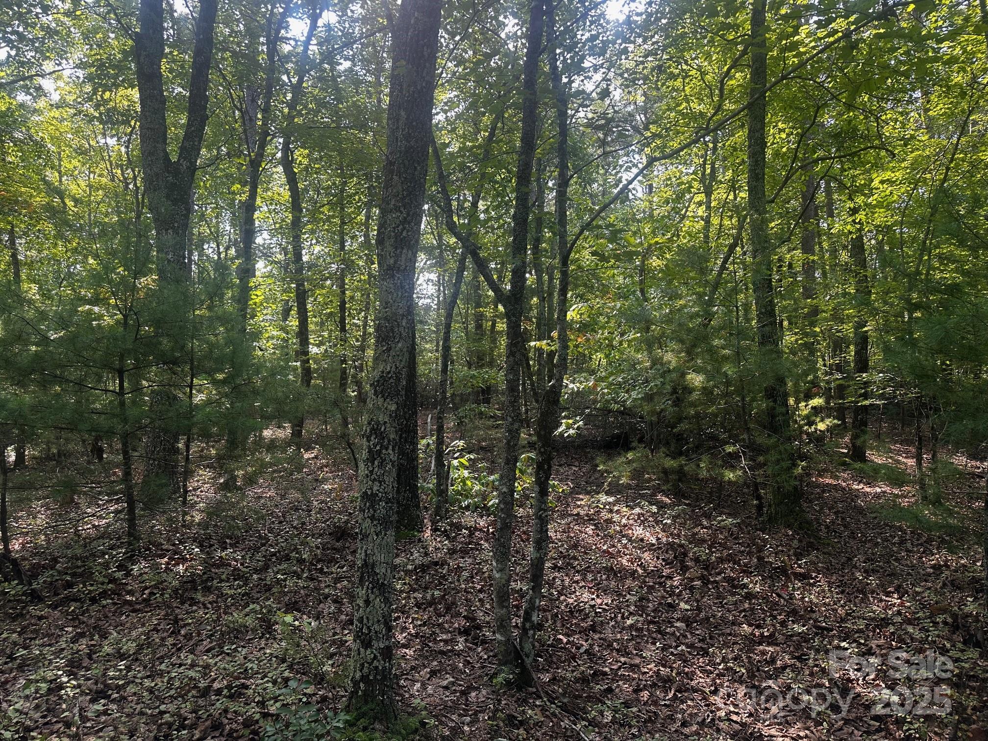 0000 Moss Hill Lane Lake Lure NC 28746