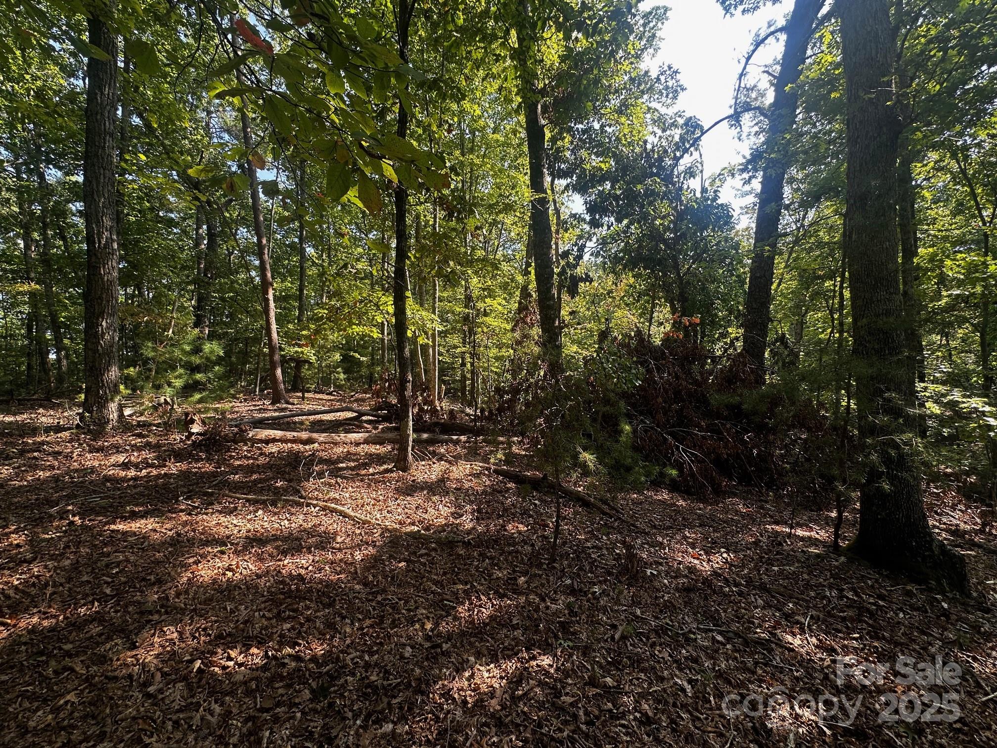 0000 Moss Hill Lane Lake Lure NC 28746