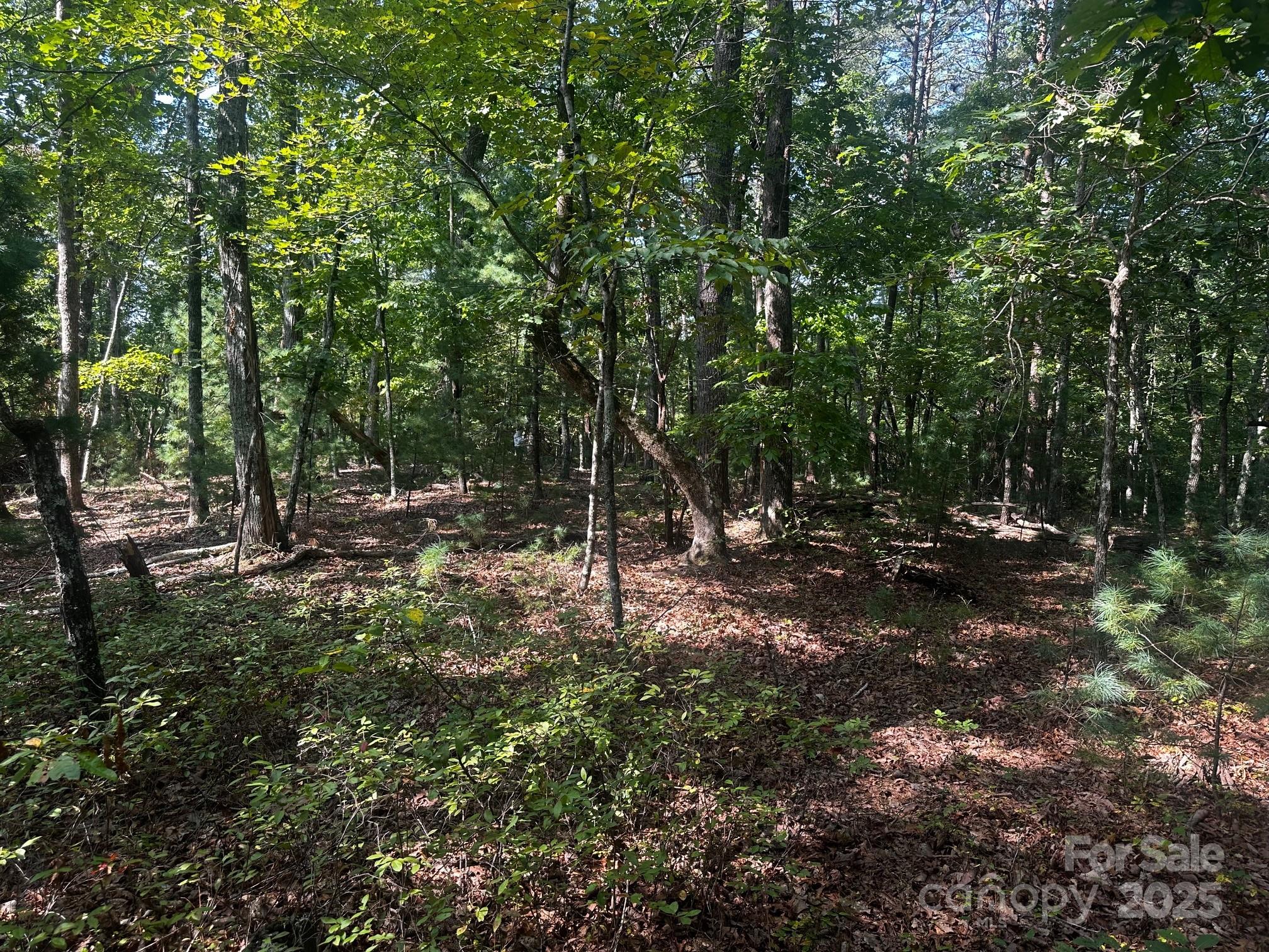 0000 Moss Hill Lane Lake Lure NC 28746