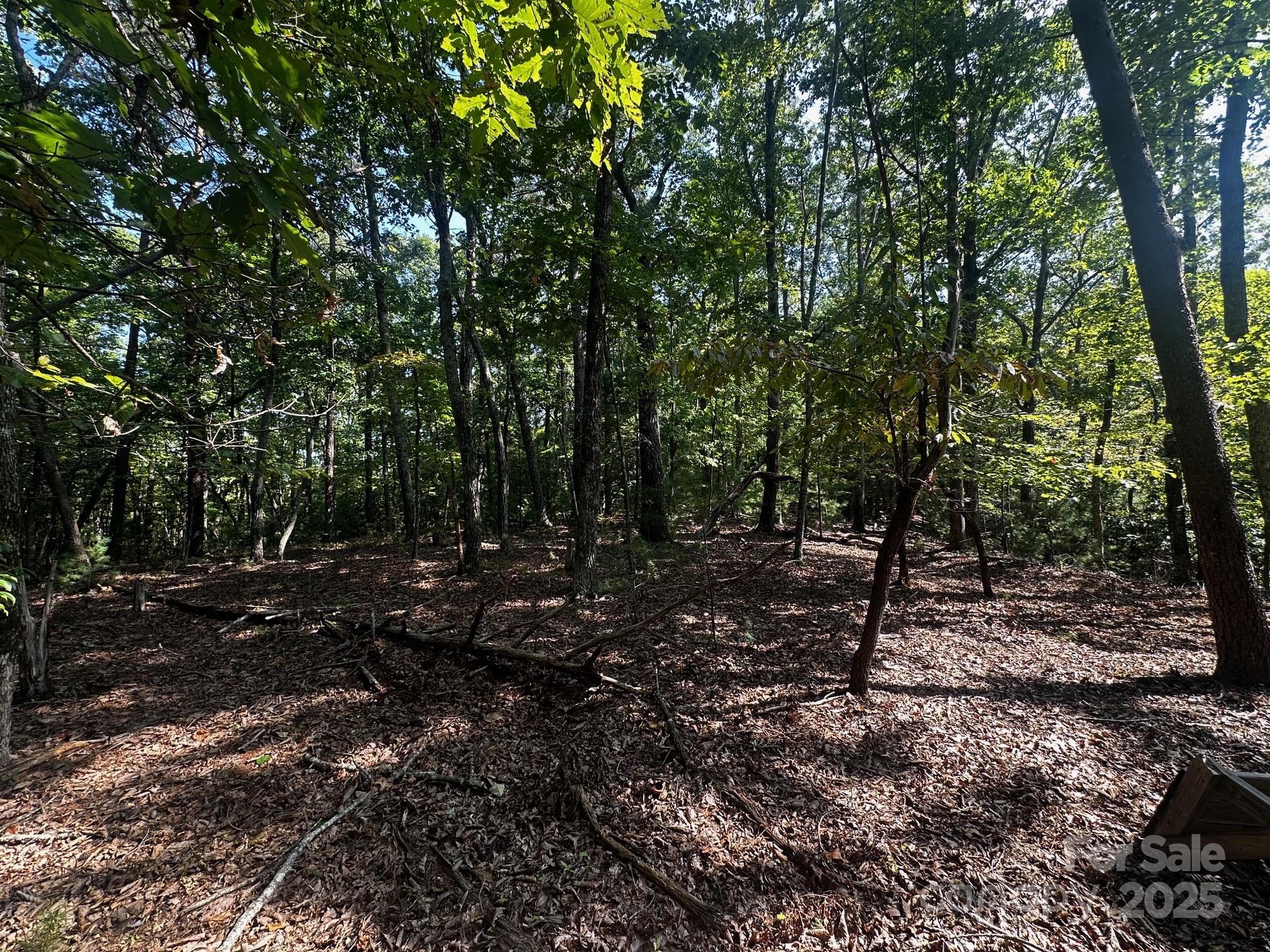 0000 Moss Hill Lane Lake Lure NC 28746
