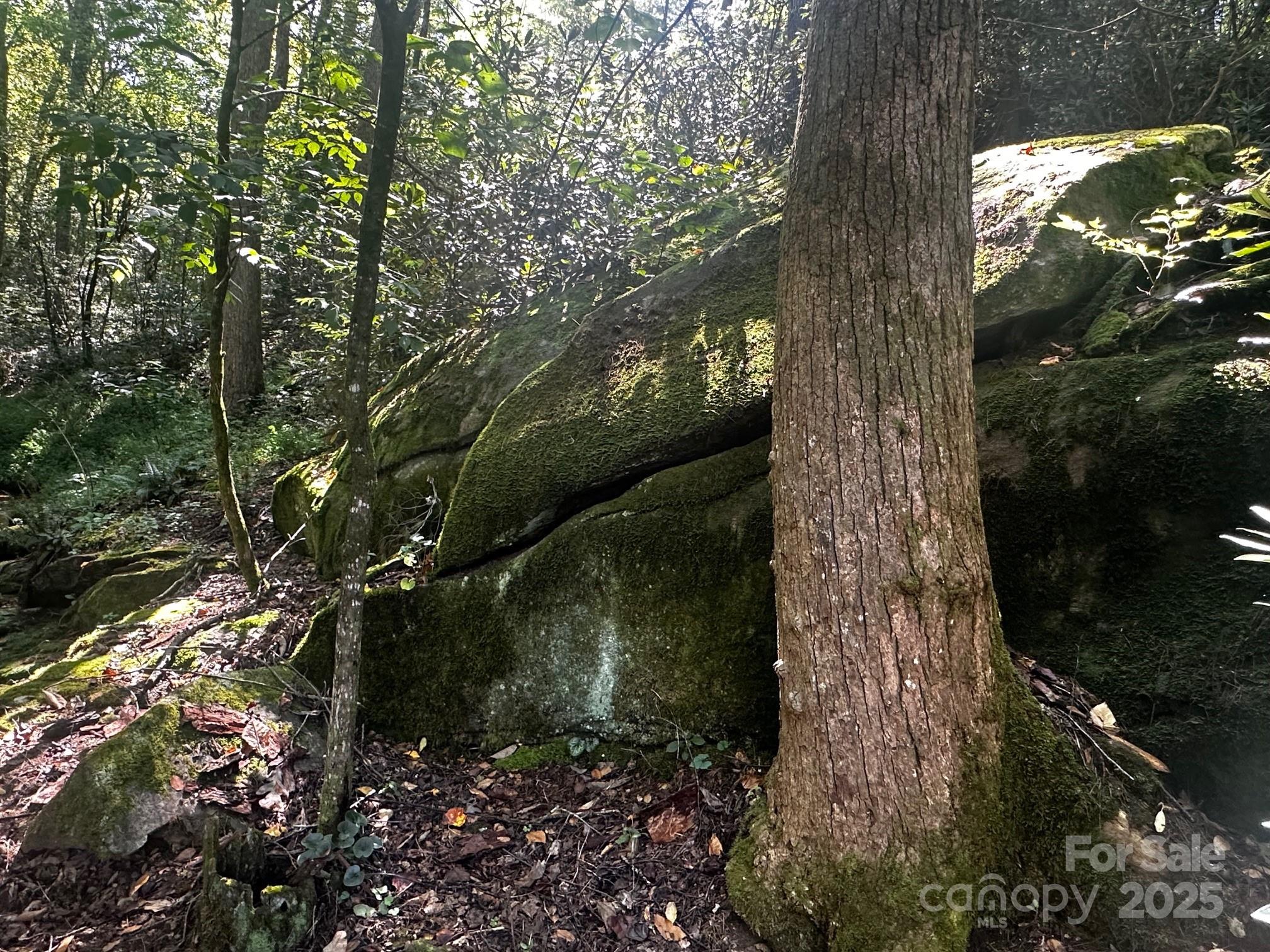 0000 Moss Hill Lane Lake Lure NC 28746