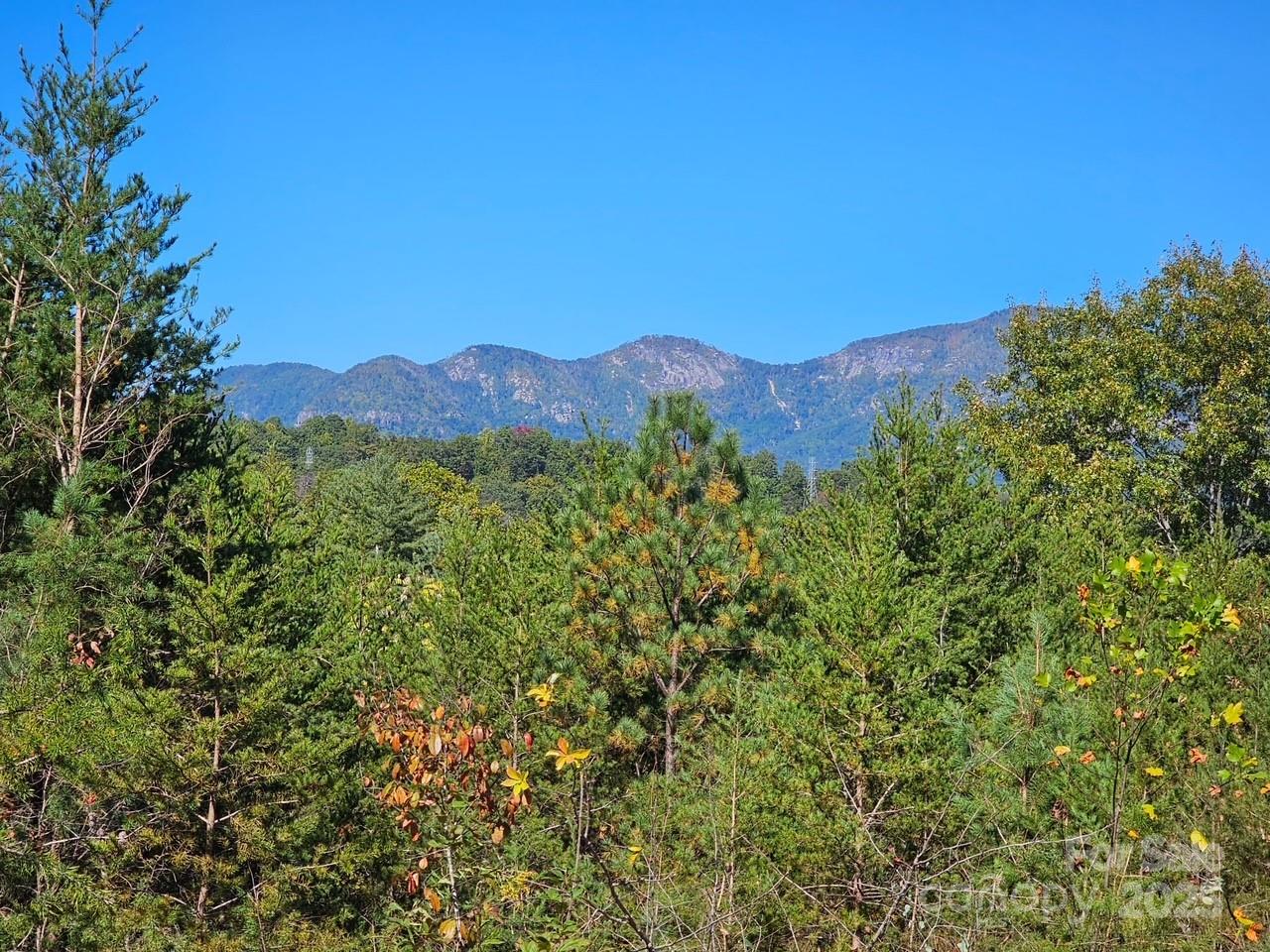 0000 Moss Hill Lane Lake Lure NC 28746