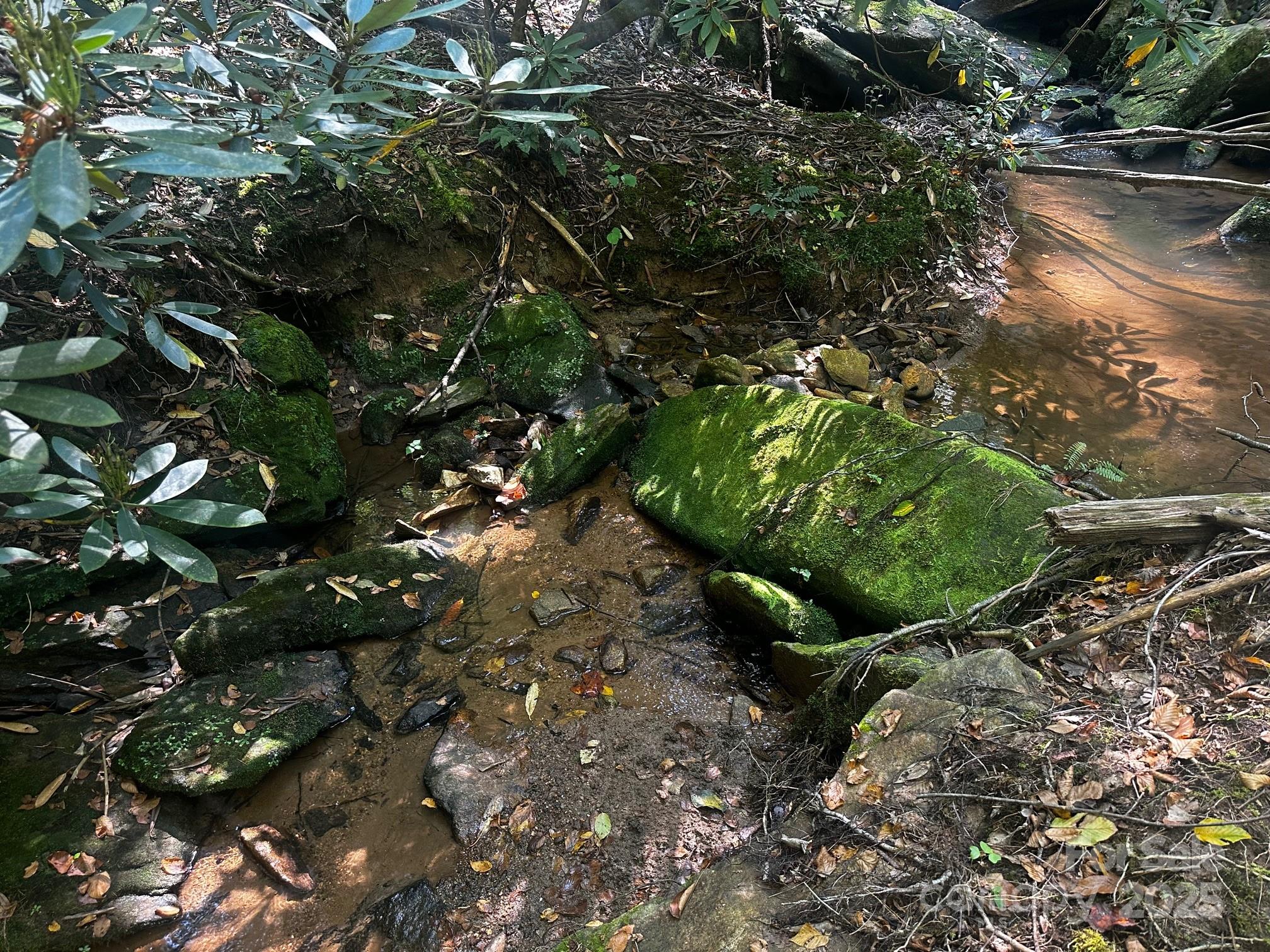 0000 Moss Hill Lane Lake Lure NC 28746