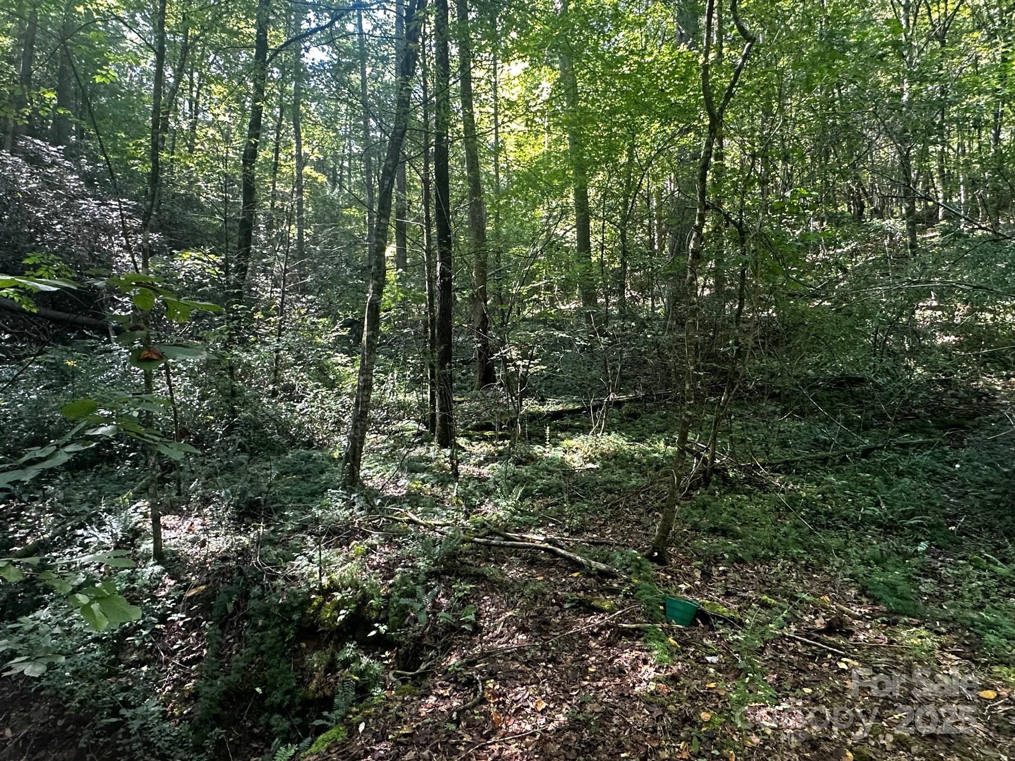 0000 Moss Hill Lane Lake Lure NC 28746